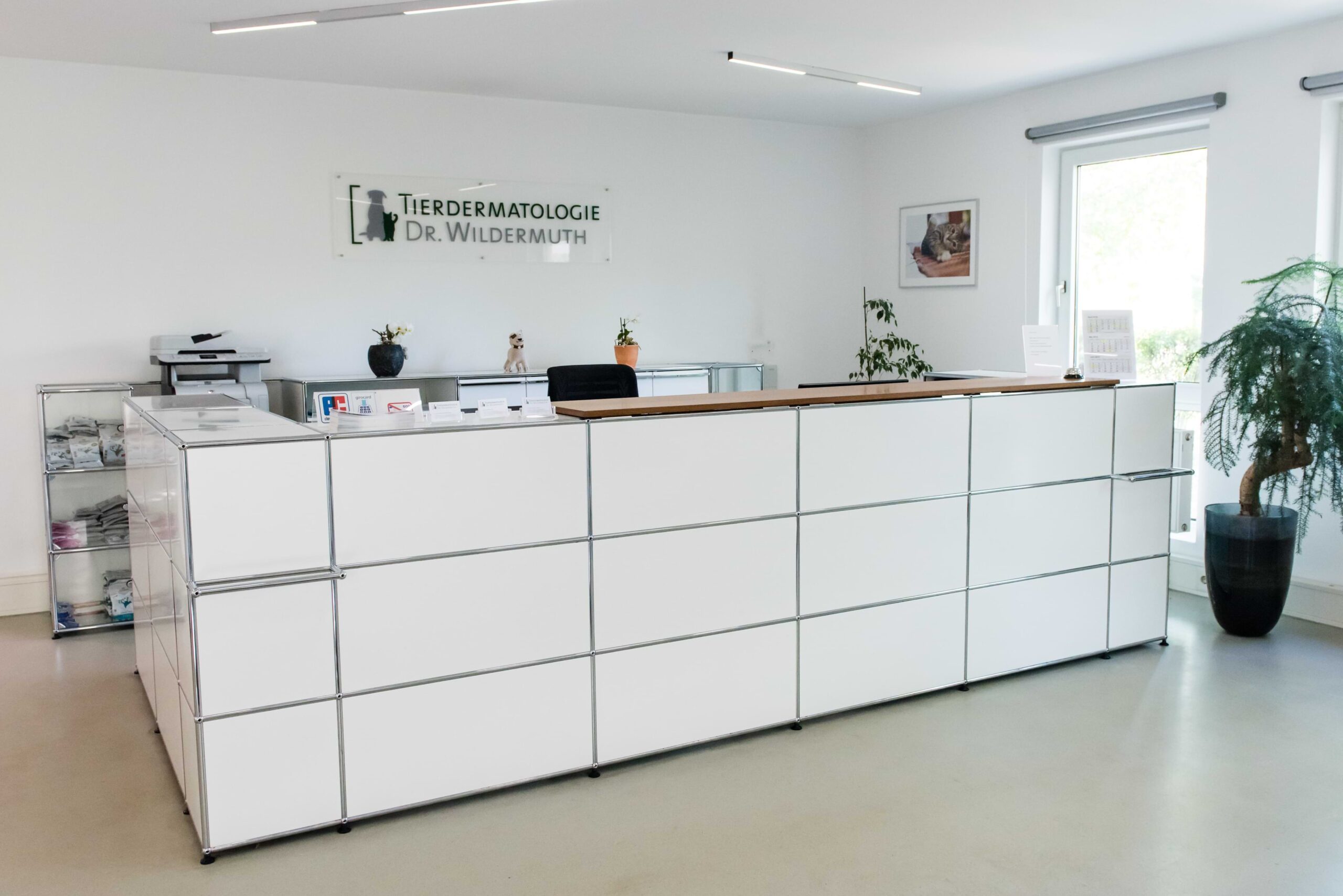 Unsere Praxis Tierdermatologie Dr Wildermuth